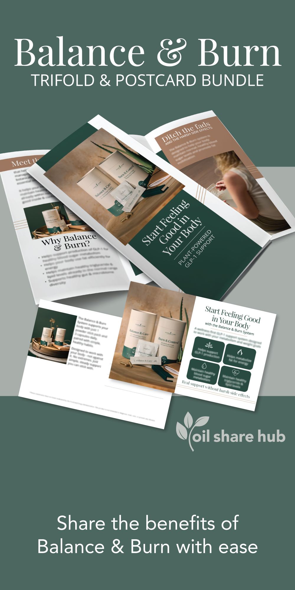 Balance & Burn Education Trifold + Postcard Set