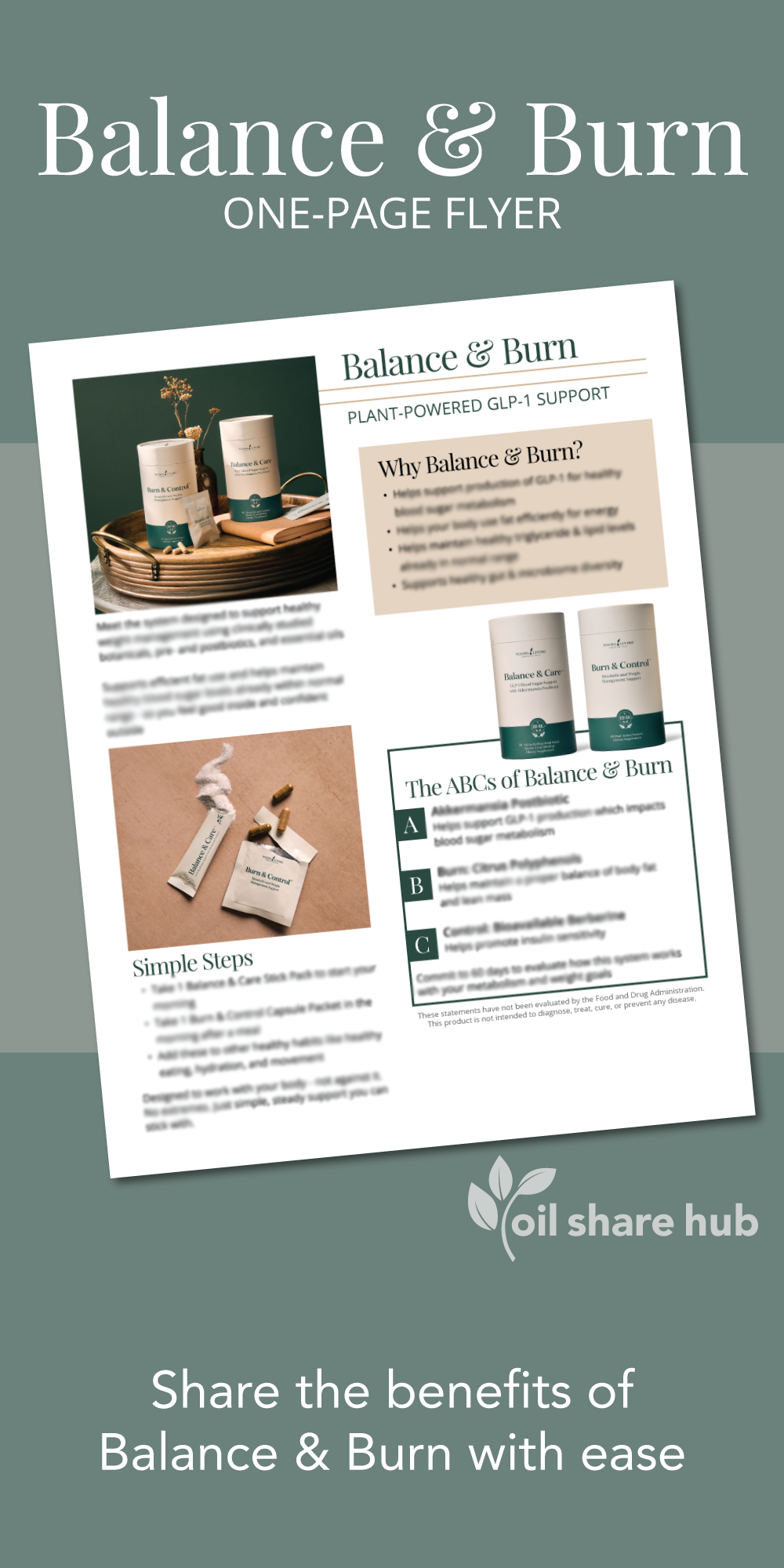 Balance & Burn One-Page Flyer - Digital Download